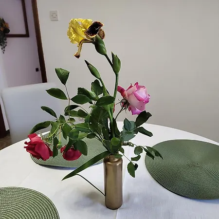 Spacious Quadria Near Motovun Apartment