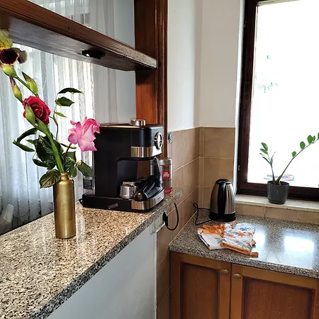 Spacious Quadria Near Motovun Apartment *