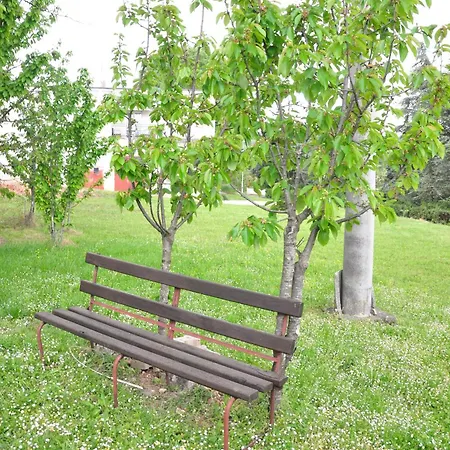 Spacious Quadria Near Motovun *