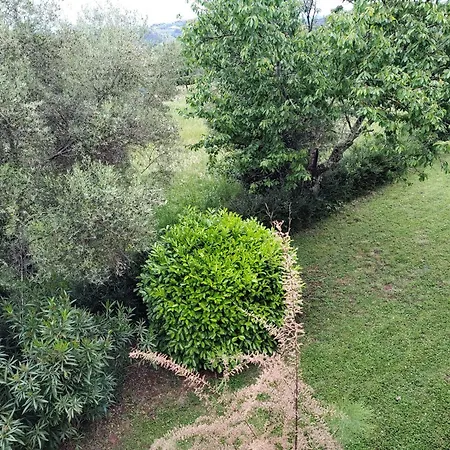 Spacious Quadria Near Motovun Apartment