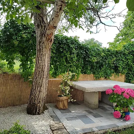 Spacious Quadria Near Motovun Karojba